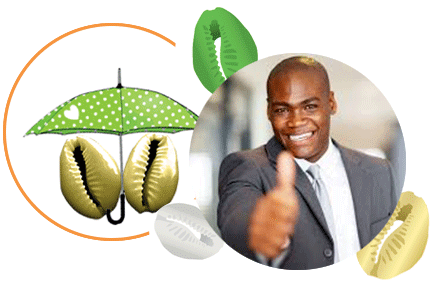 projet_cauris Credit mutuel sa